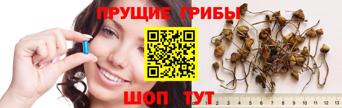 Псилоцибиновые грибы ЛСД Череповец