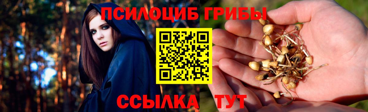 Псилоцибиновые грибы мухоморы  Вход с VPN  даркнет сайт  Череповец 
